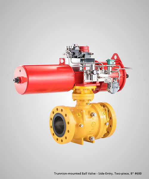 Trunnion-mounted-Ball-Valve---Side-Entry,-Two-piece,-8--600.jpg