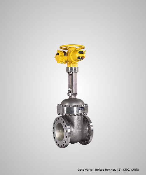 Gate-Valve---Bolted-Bonnet,-12--300,-CF8M.jpg