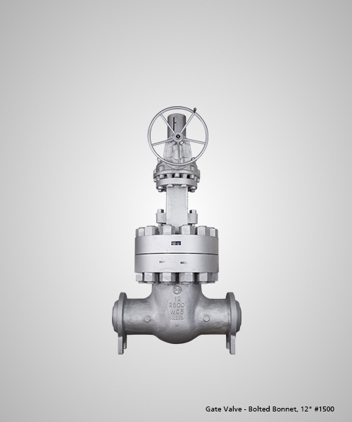 Gate-Valve---Bolted-Bonnet,-12--1500.jpg