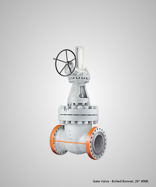 Gate-Valve---Bolted-Bonnet,-20--900.jpg