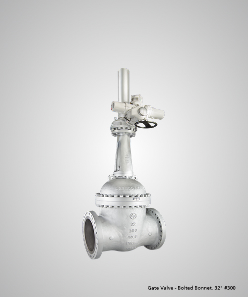 Gate-Valve---Bolted-Bonnet,-32--300.jpg
