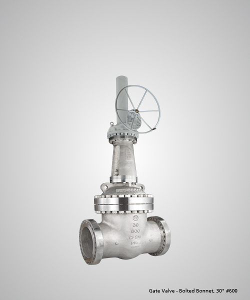 Gate-Valve---Bolted-Bonnet,-30--600.jpg