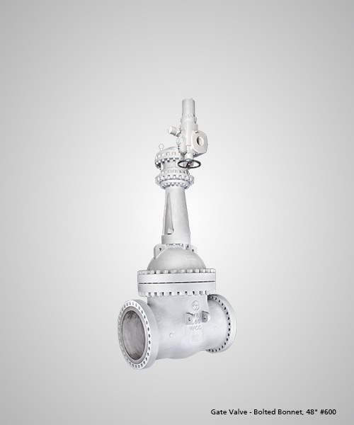 Gate-Valve---Bolted-Bonnet,-48--600.jpg