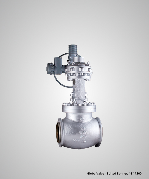 Globe-Valve---Bolted-Bonnet,-16--300.jpg
