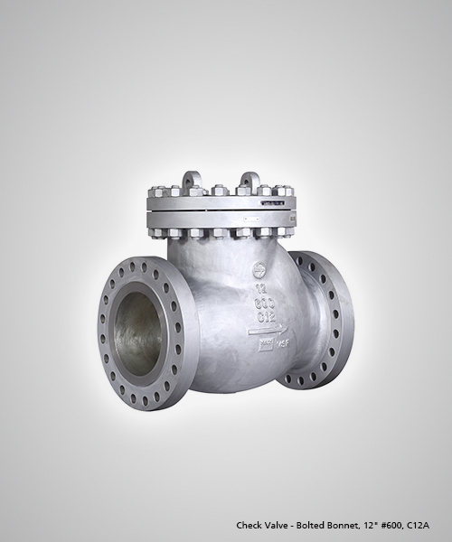Check-Valve---Bolted-Bonnet,-12-600,-C12A.jpg