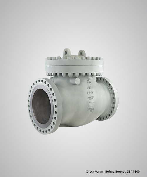 Check-Valve---Bolted-Bonnet,-36--600.jpg