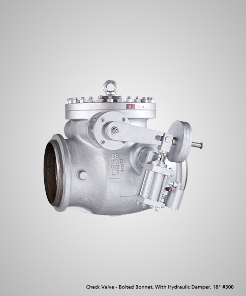 Check-Valve---Bolted-Bonnet,-With-Hydraulic-Damper,-18--300.jpg