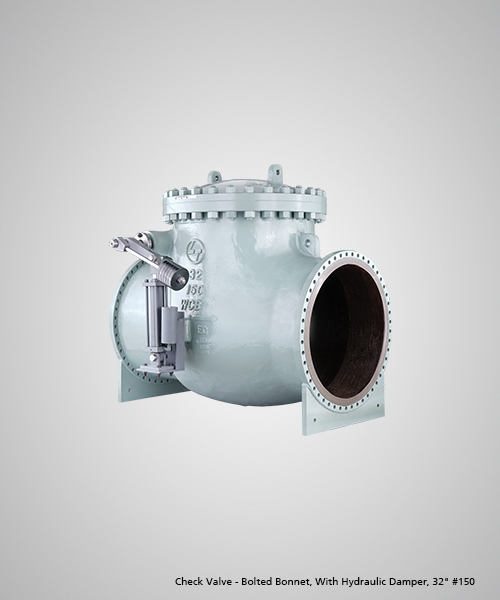 Check-Valve---Bolted-Bonnet,-With-Hydraulic-Damper,-32--150.jpg