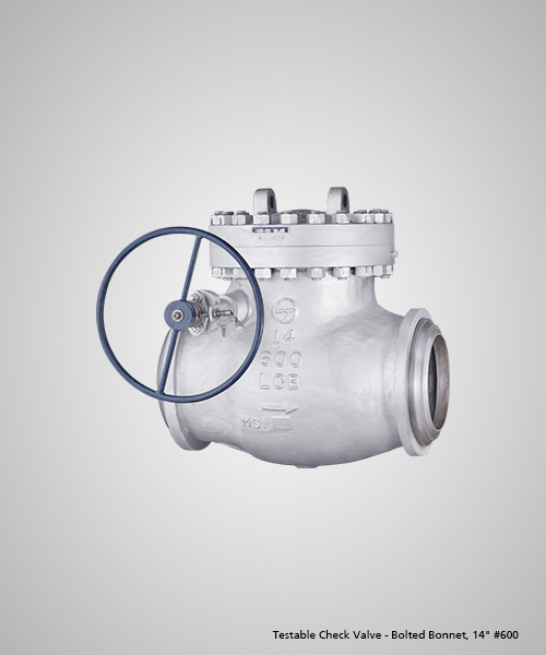 Testable-Check-Valve---Bolted-Bonnet,-14--600.jpg