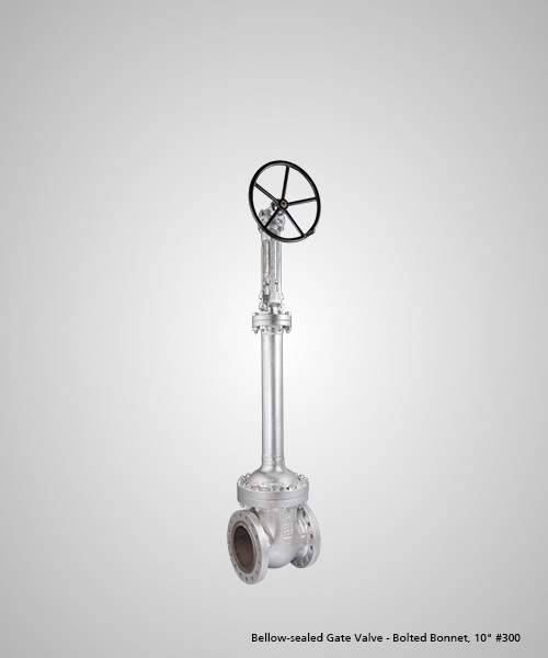 Bellow-sealed-Gate-Valve---Bolted-Bonnet,-10-300.jpg