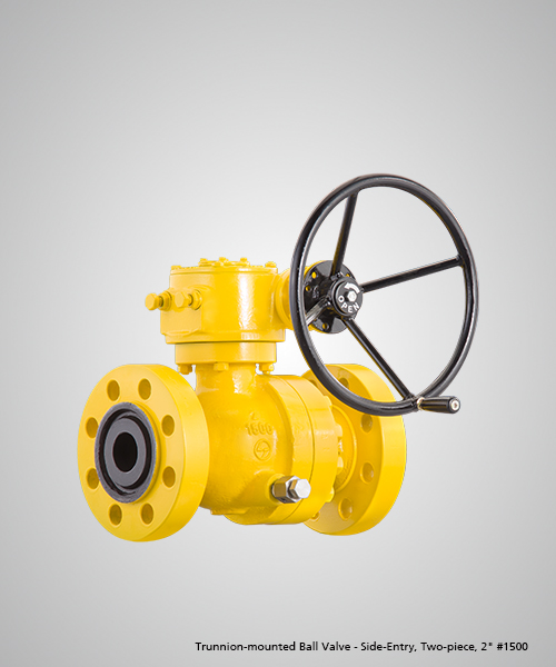 Trunnion-mounted-Ball-Valve---Side-Entry,-Two-piece,-2--1500.jpg