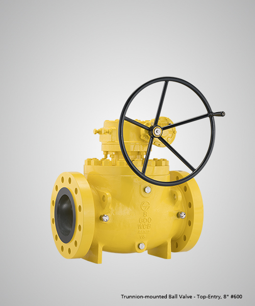 Trunnion-mounted-Ball-Valve---Top-Entry,-8--600.jpg