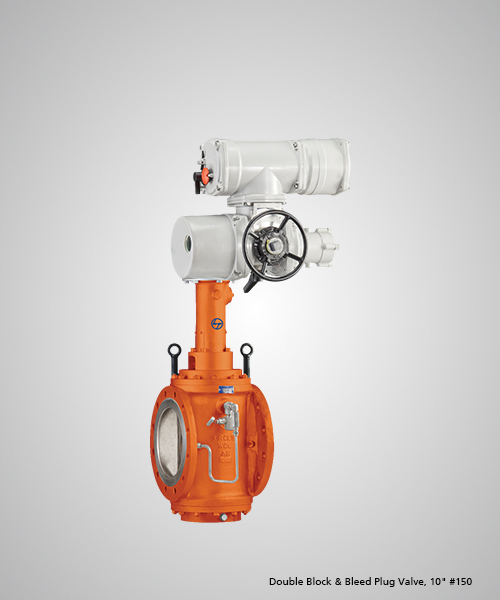 Double-Block-&-Bleed-Plug-Valve,-10--150.jpg