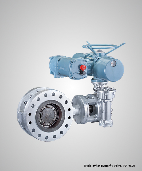 Triple-offset-Butterfly-Valve,-10--600.jpg