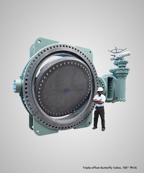 Triple-offset-Butterfly-Valve,-100--PN16.jpg