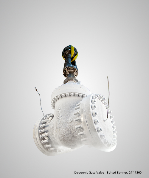 Cryogenic-Gate-Valve---Bolted-Bonnet,-24--300.jpg