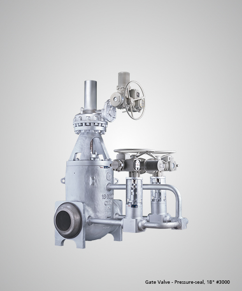 Gate-Valve---Pressure-seal,-18--3000.jpg