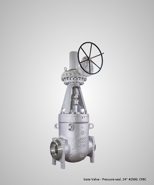 Gate-Valve---Pressure-seal,-24---2500,-CF8C.jpg