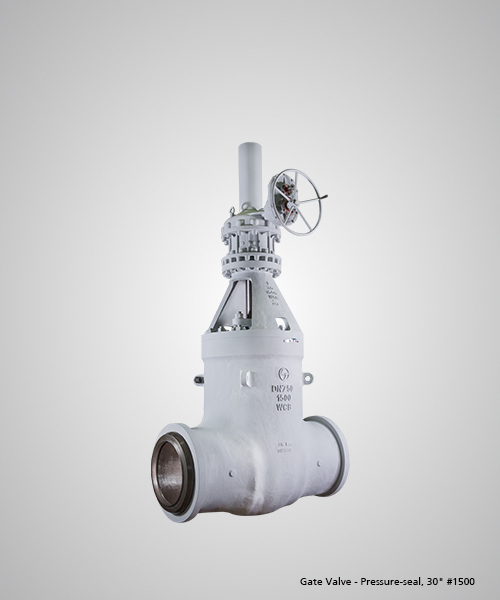Gate-Valve---Pressure-seal,-30--1500.jpg