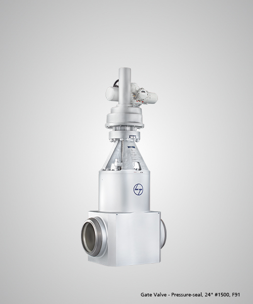Gate-Valve---Pressure-seal,-24--1500,-F91.jpg