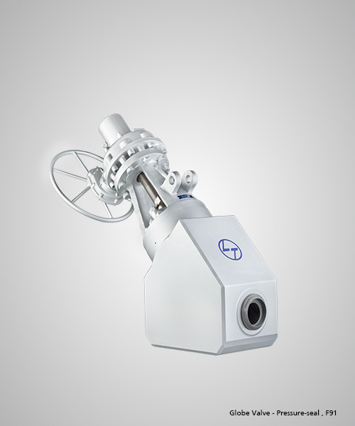Globe-Valve---Pressure-seal-,-F91.jpg