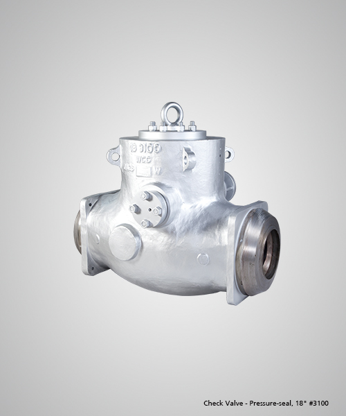 Check-Valve---Pressure-seal,-18--3100.jpg