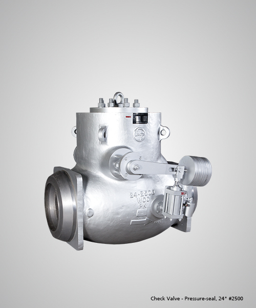 Check-Valve---Pressure-seal,-24--2500.jpg