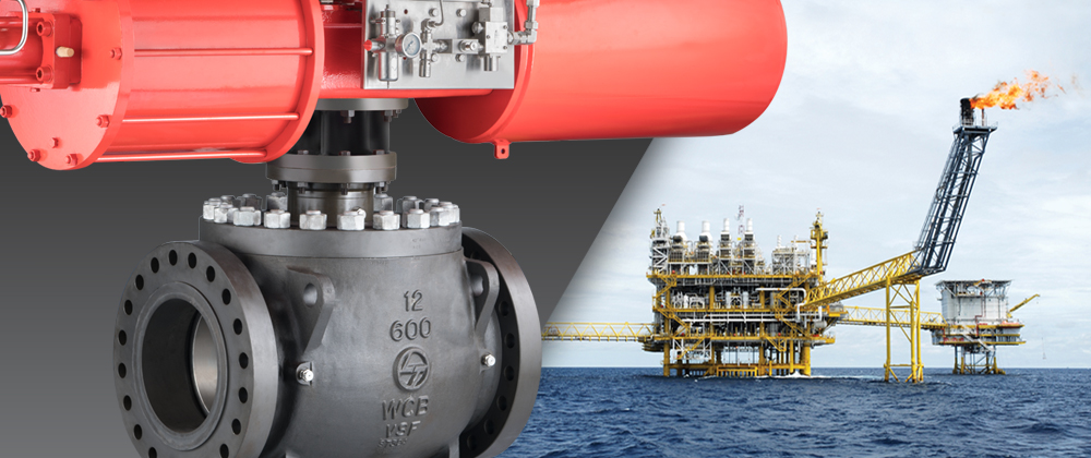 Trunnion-mounted Ball Valves