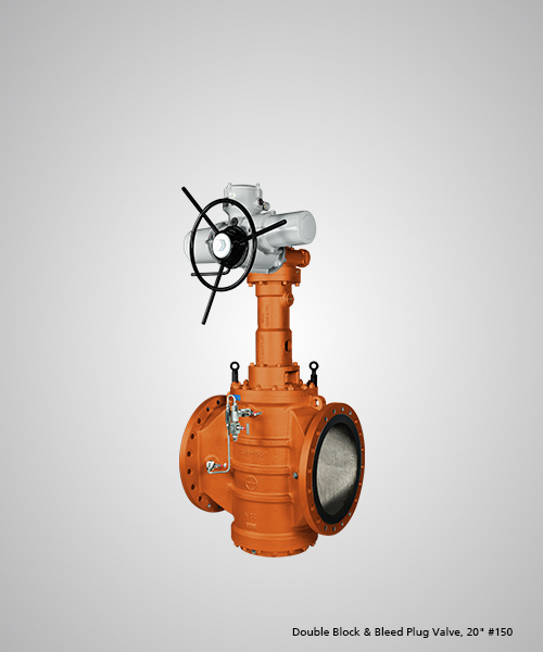 double-block-bleed-plug-valve-20-150.jpg