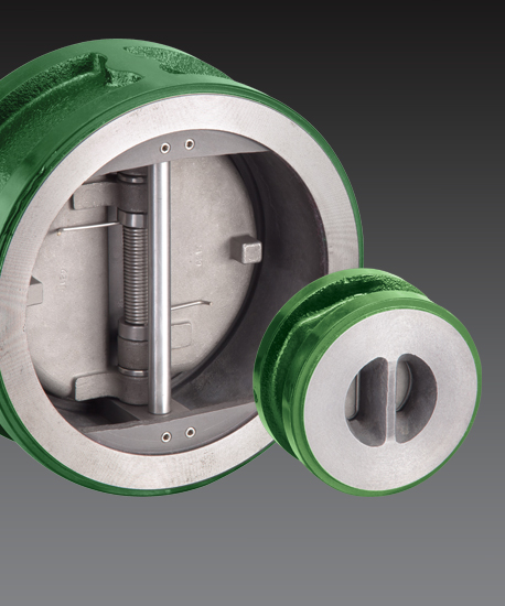Dual-plate Check Valve