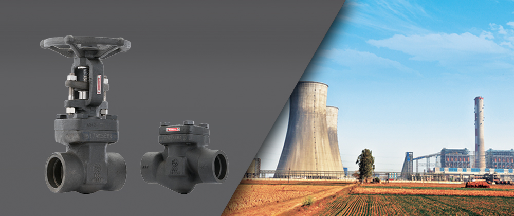 Forged Steel Valves - Class 150 to 1500