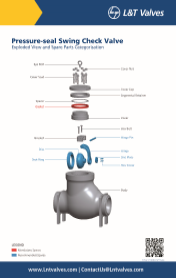 L&T Valves Check Valve - ASME B16.34