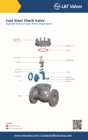 L&T Valves Check Valve - API 594