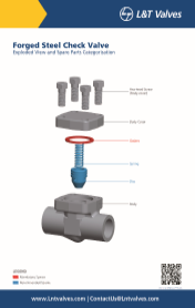 L&T Valves Check Valve - API 602