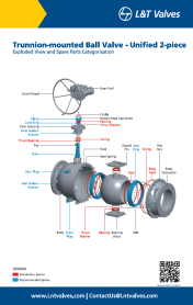 L&T Valves Trunnion-mounted Ball Valve - Unified 2-piece