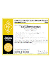 Saudi Plant API 6D